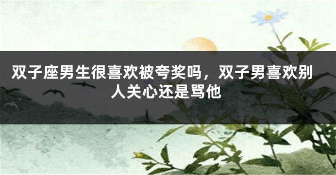 双子座男生很喜欢被夸奖吗，双子男喜欢别人关心还是骂他