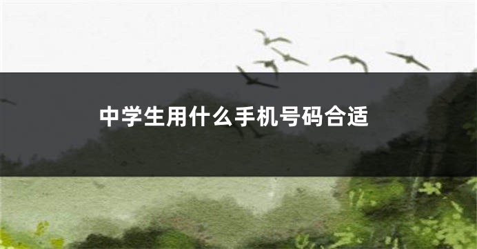 中学生用什么手机号码合适
