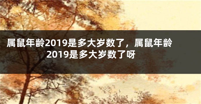 属鼠年龄2019是多大岁数了，属鼠年龄2019是多大岁数了呀