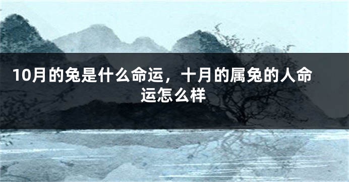 10月的兔是什么命运，十月的属兔的人命运怎么样