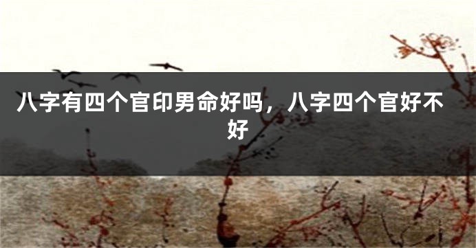 八字有四个官印男命好吗，八字四个官好不好