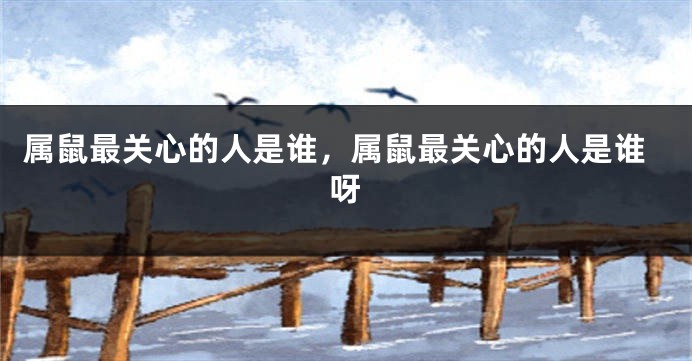 属鼠最关心的人是谁，属鼠最关心的人是谁呀