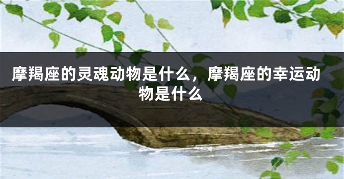 摩羯座的灵魂动物是什么，摩羯座的幸运动物是什么
