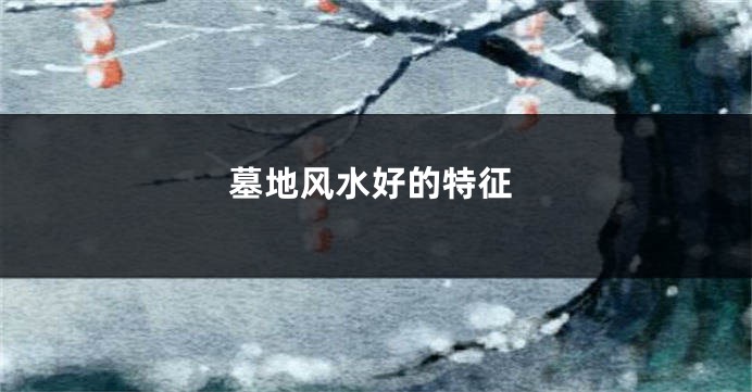 墓地风水好的特征