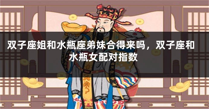 双子座姐和水瓶座弟妹合得来吗，双子座和水瓶女配对指数
