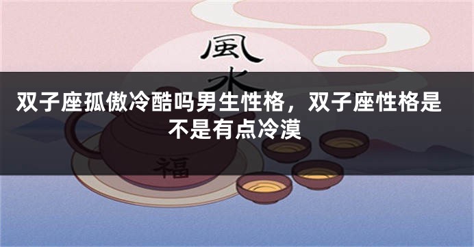 双子座孤傲冷酷吗男生性格,双子座性格是不是有点冷漠