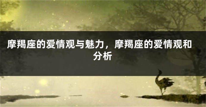 摩羯座的爱情观与魅力，摩羯座的爱情观和分析