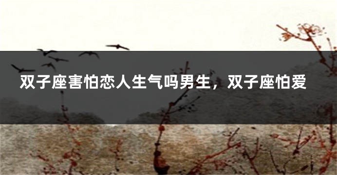 双子座害怕恋人生气吗男生，双子座怕爱