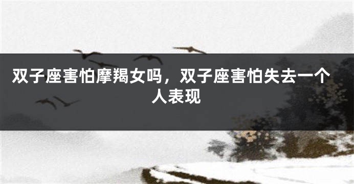 双子座害怕摩羯女吗，双子座害怕失去一个人表现