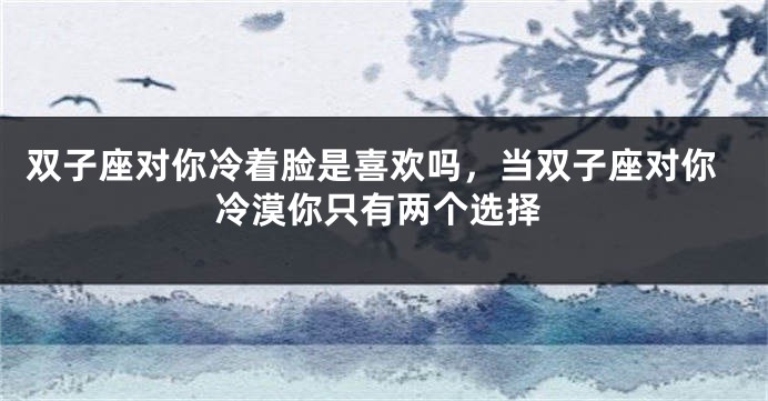 双子座对你冷着脸是喜欢吗，当双子座对你冷漠你只有两个选择