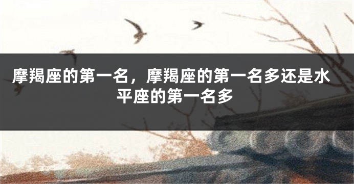 摩羯座的第一名，摩羯座的第一名多还是水平座的第一名多