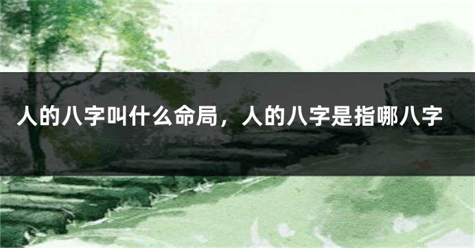 人的八字叫什么命局,人的八字是指哪八字