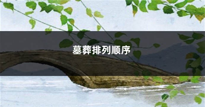 墓葬排列顺序