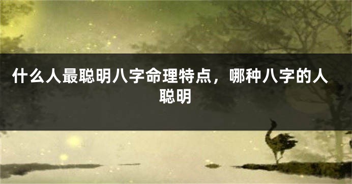 什么人最聪明八字命理特点，哪种八字的人聪明
