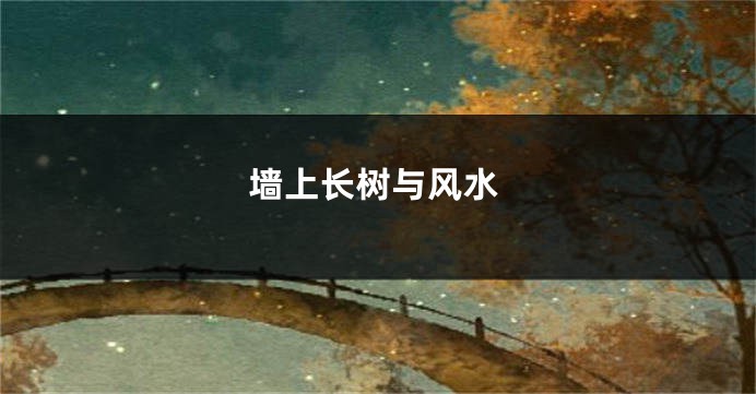 墙上长树与风水