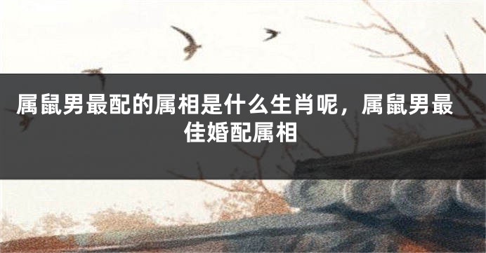 属鼠男最配的属相是什么生肖呢，属鼠男最佳婚配属相