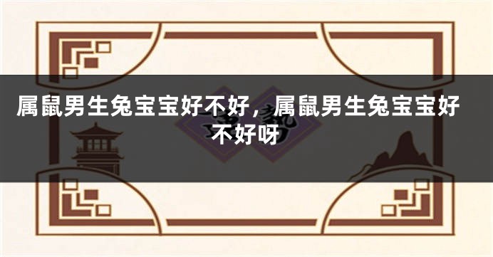 属鼠男生兔宝宝好不好，属鼠男生兔宝宝好不好呀