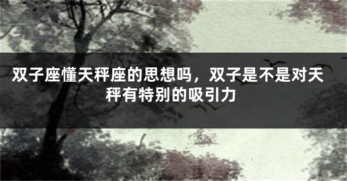 双子座懂天秤座的思想吗，双子是不是对天秤有特别的吸引力