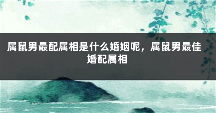 属鼠男最配属相是什么婚姻呢，属鼠男最佳婚配属相
