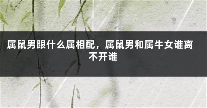 属鼠男跟什么属相配，属鼠男和属牛女谁离不开谁