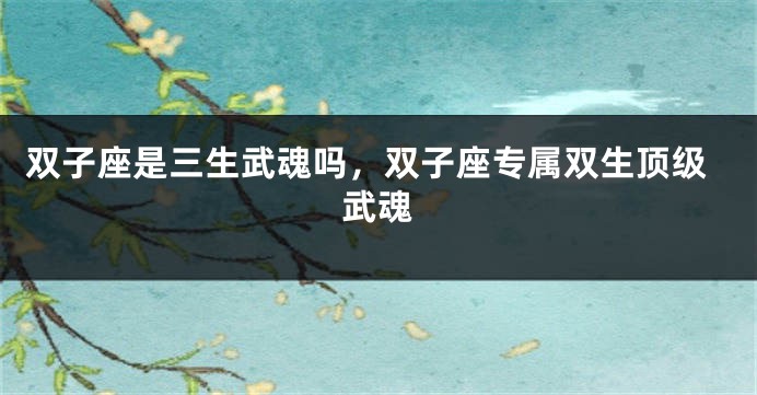 双子座是三生武魂吗，双子座专属双生顶级武魂