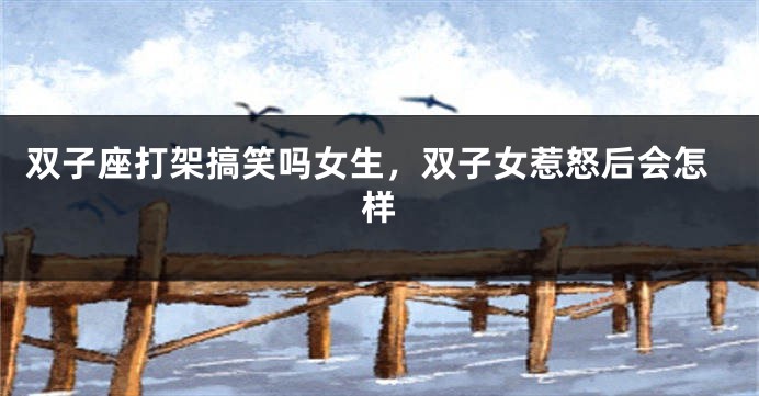双子座打架搞笑吗女生，双子女惹怒后会怎样