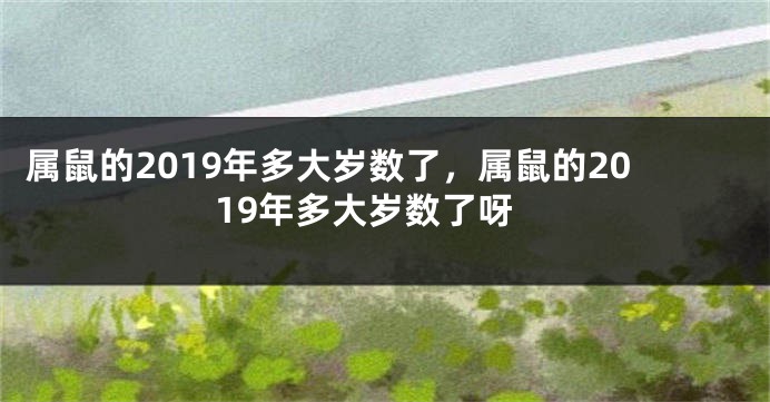 属鼠的2019年多大岁数了，属鼠的2019年多大岁数了呀