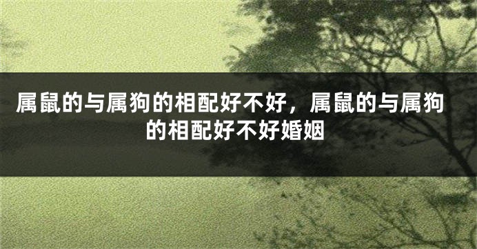 属鼠的与属狗的相配好不好，属鼠的与属狗的相配好不好婚姻