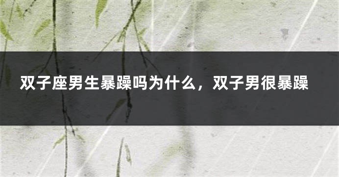 双子座男生暴躁吗为什么，双子男很暴躁