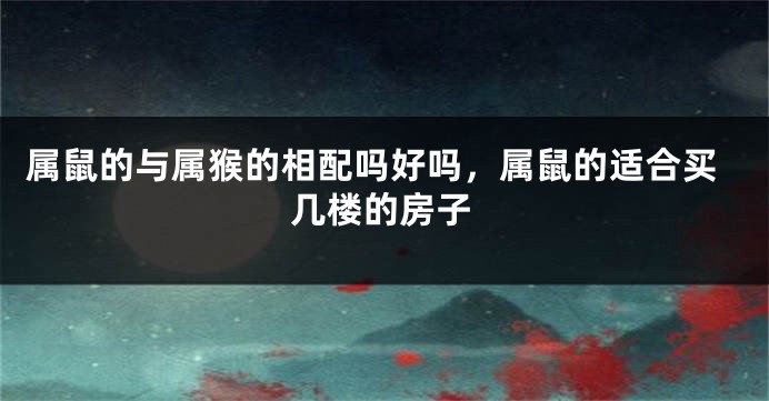 属鼠的与属猴的相配吗好吗，属鼠的适合买几楼的房子