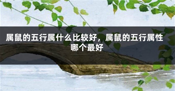 属鼠的五行属什么比较好，属鼠的五行属性哪个最好