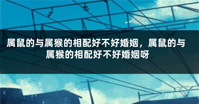 属鼠的与属猴的相配好不好婚姻，属鼠的与属猴的相配好不好婚姻呀
