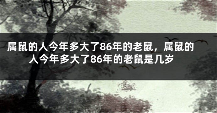 属鼠的人今年多大了86年的老鼠，属鼠的人今年多大了86年的老鼠是几岁