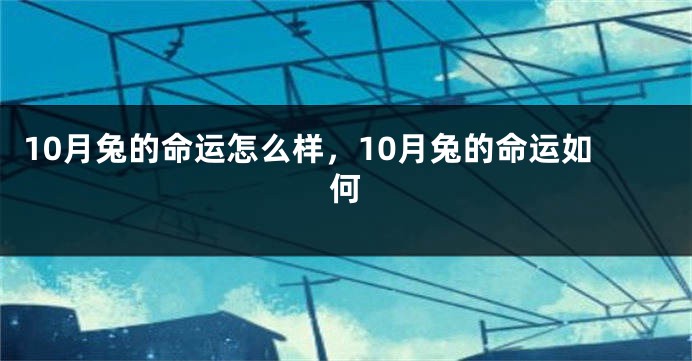 10月兔的命运怎么样，10月兔的命运如何