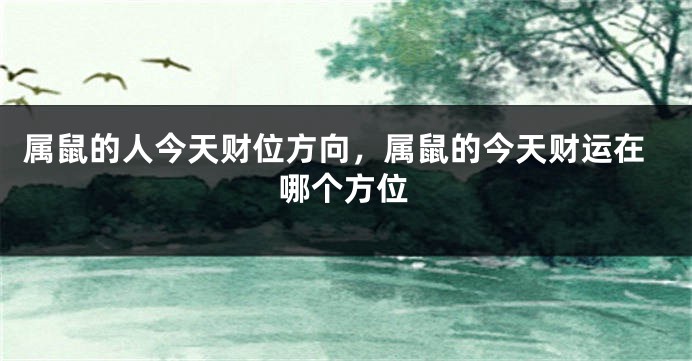 属鼠的人今天财位方向，属鼠的今天财运在哪个方位