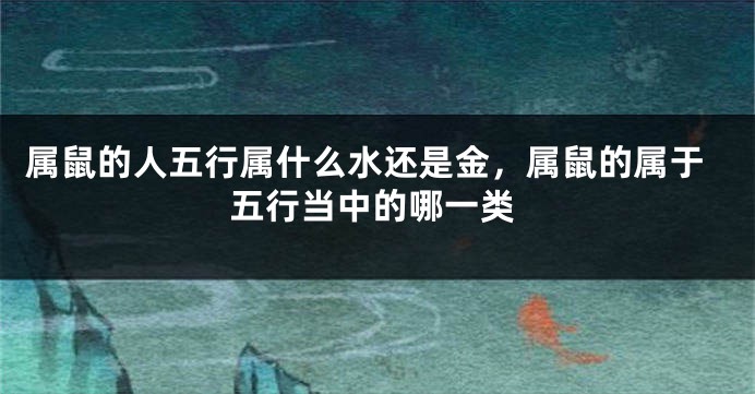 属鼠的人五行属什么水还是金，属鼠的属于五行当中的哪一类