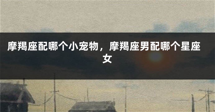 摩羯座配哪个小宠物，摩羯座男配哪个星座女
