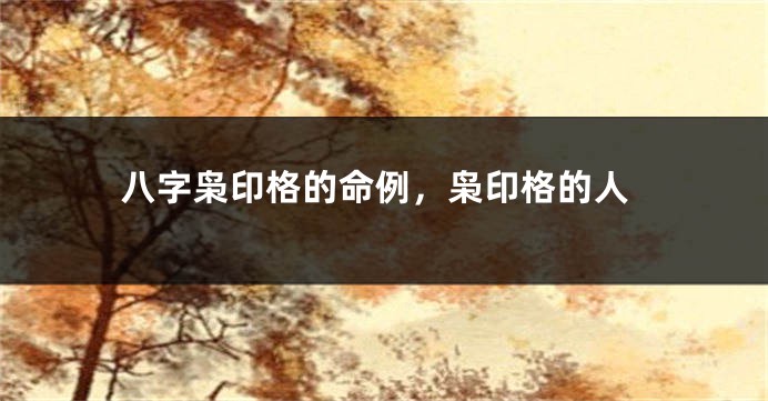 八字枭印格的命例，枭印格的人