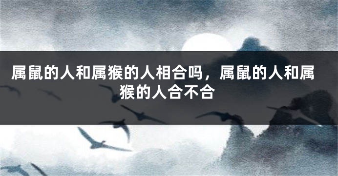 属鼠的人和属猴的人相合吗，属鼠的人和属猴的人合不合