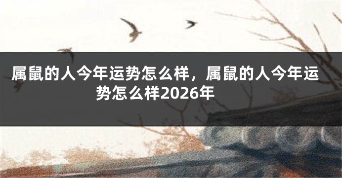 属鼠的人今年运势怎么样，属鼠的人今年运势怎么样2026年