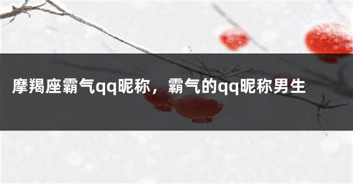 摩羯座霸气qq昵称，霸气的qq昵称男生