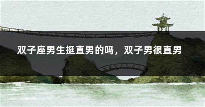双子座男生挺直男的吗，双子男很直男
