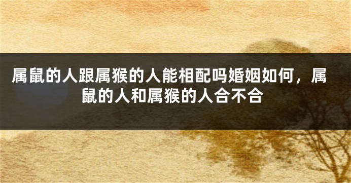 属鼠的人跟属猴的人能相配吗婚姻如何，属鼠的人和属猴的人合不合