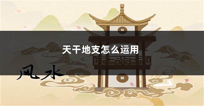 天干地支怎么运用