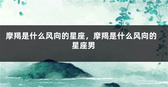 摩羯是什么风向的星座，摩羯是什么风向的星座男