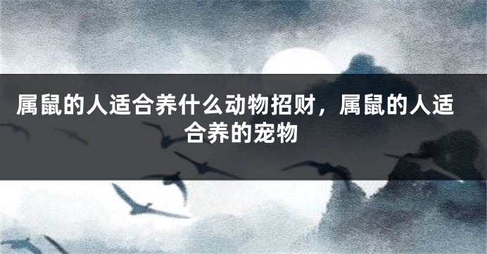 属鼠的人适合养什么动物招财，属鼠的人适合养的宠物