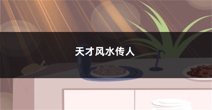 天才风水传人