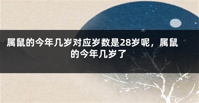 属鼠的今年几岁对应岁数是28岁呢，属鼠的今年几岁了