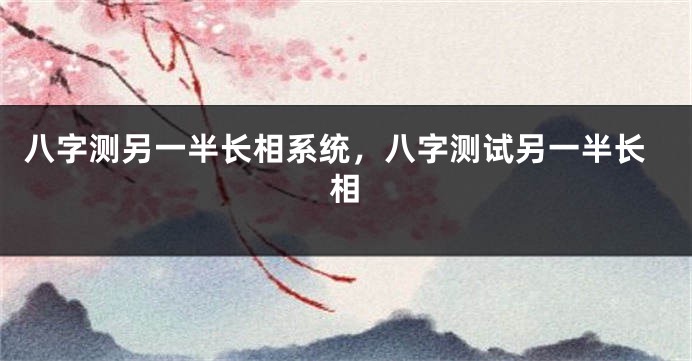 八字测另一半长相系统,八字测试另一半长相