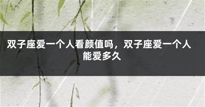 双子座爱一个人看颜值吗，双子座爱一个人能爱多久